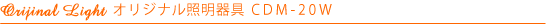 IWiƖCDM-20W